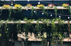 IMG-20190723-WA0010